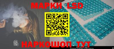 крисы Будённовск