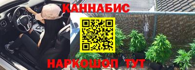 крисы Будённовск