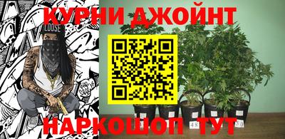 крисы Будённовск
